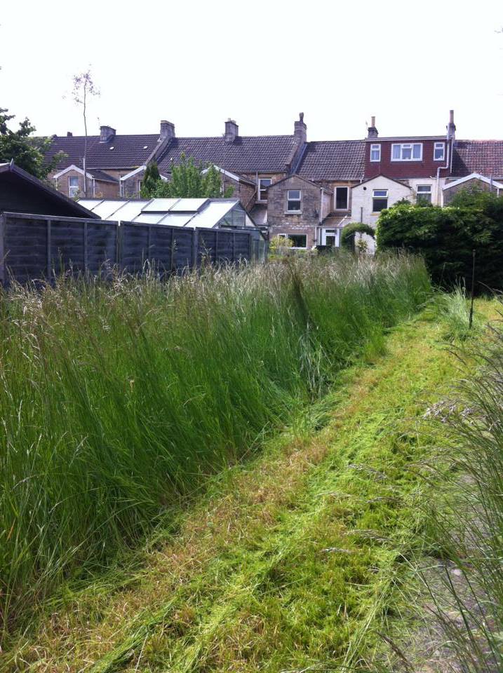 Garden Clearance Bath