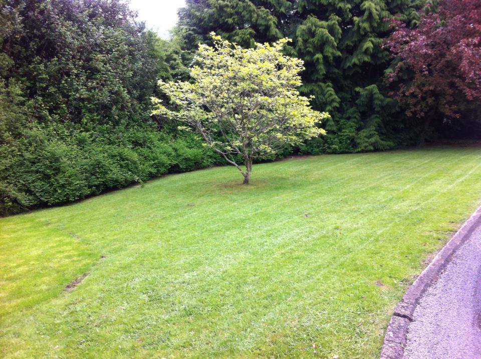 Garden maintenance Bath