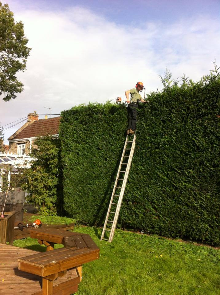 Garden maintenance Bath