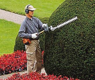 Chainsaw, hedge trimmer