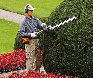 Hedgetrimmer Calne