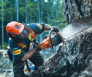 Chainsaw Autotune available in Calne near Marlborough