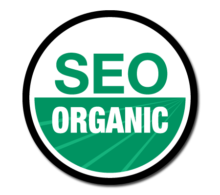 Organic SEO Web Design Chippenham